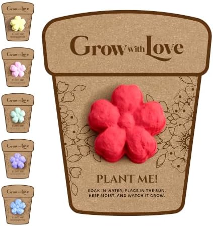 24-Count Plantable 3D Flower Wildflower Seed Bomb Favors by SeedBloom