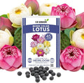 Lotus Seeds for Planting – 45 Pack Water Lotus Flower Seeds, Grow in Bowl, Koi Pond or Container, Easy Aquatic Bonsai Plants, Water Garden Flowers, Fast Sprouting, Beginner Friendly by CZGrain