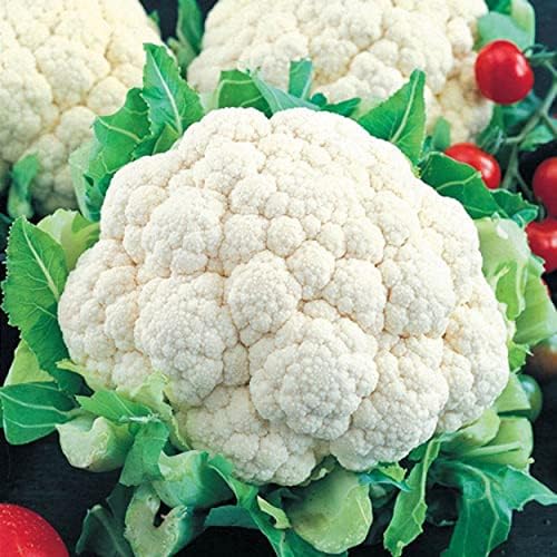 Snowball Cauliflower Seeds for Planting - Non-GMO Heirloom Packet with Instructions to Plant & Grow a Home Outdoor Vegetable Garden (200 Seeds) – Great Gardening Gift, 1 Packet by Axel%27s+Garden+Seeds