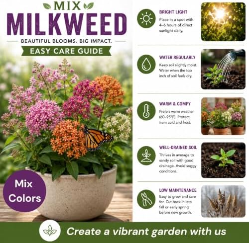 3 Mix Butterfly Milkweed Plants, 4-8" Tall Asclepias Tuberosa Plants - Image 3