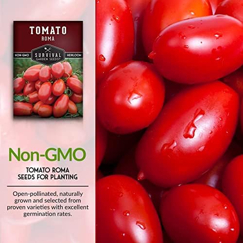 Roma Tomato Seeds for Planting - 2 Packs - Image 3