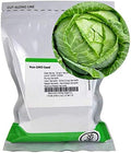 Mountain Valley Seed Co Cabbage Seeds - Danish Ball Head 1 Lb 104,000 Seeds by MountainValleySeedCompany