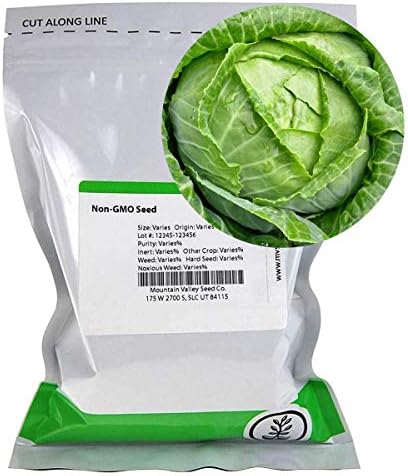 Mountain Valley Seed Co Cabbage Seeds - Danish Ball Head 1 Lb 104,000 Seeds by MountainValleySeedCompany