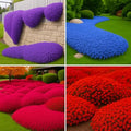 32000+ Mix Creeping Thyme Seeds, Ground Cover for Lawns & Gardens by Unknown
