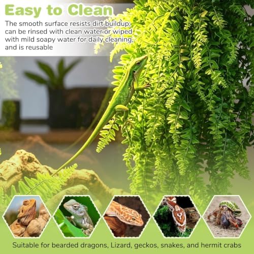 PINVNBY Reptile Plants Hanging Fake Vines Boston Climbing Terrarium Plant with Suction Cup for Bearded Dragons Lizards Crested Gecko Snake Hermit Crab and Tank Habitat Decorations (2 Pack) - Image 6