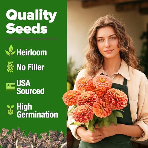 HOME GROWN Zinnia Seeds, Coral, 300 Seeds, Zinnia elegans - Image 2