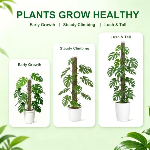 Plastic Moss Pole for Monstera and Climbing Plants, 4Pcs 36" Plant Poles - Image 5