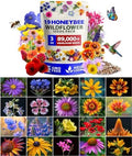HOME GROWN 19 Wildflower Variety Mix 89,000+ Flower Seeds 3 oz by HOMEGROWN