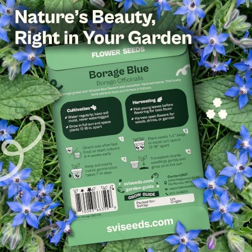 SVI 250 Blue Borage Seeds (Borago officinalis) – Starflower Seed Packets, Heirloom Annual Herb with Edible Blue Flower Seeds for Pollinator Garden, Raised Beds, Containers & Outdoor Flower Garden - Image 2