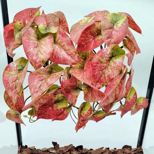 Fake Reptile Plants for Terrarium,Hanging Plant with Suction Cup by KERUIDENG