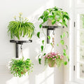 Plant Wall Hanger Holder Set of 2 for Indoor Outdoor, Black by iDavosicly