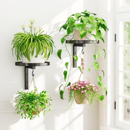 Plant Wall Hanger Holder Set of 2 for Indoor Outdoor, Black by iDavosicly