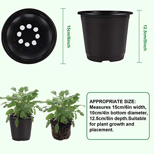 Augshy 50 Pcs 0.5 Gallon Black Plastic Plant Nursery Pots 6 Inches Seed Starting Pots Containers with 50 Labels - Image 2