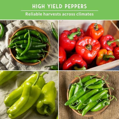 Pepper Seeds Collection - 4 Variety Pack for Planting - Image 4
