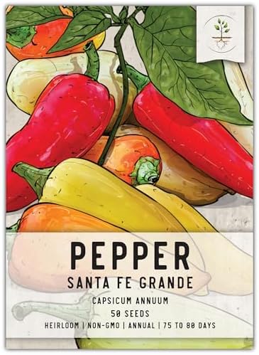 Seed Needs Santa Fe Hot Pepper Seeds to Plant Vegetables - 1 Pack by SeedNeeds