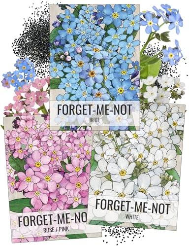 Seed Needs Forget Me Not Seeds Variety Pack of 3 Flowers for Planting by SeedNeeds