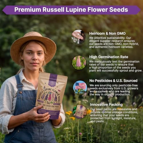 Russell Lupine Seeds 1oz Over 1,400 Non-GMO Heirloom Lupine Seeds for Planting, Prennial Flowers in Individual Packet, Planting Home Garden Indoor & Outdoor Gardening - Image 6