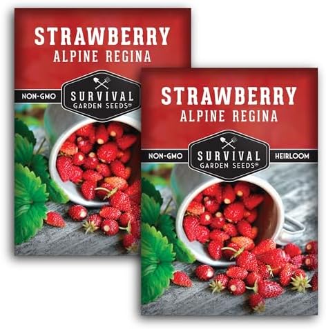 Alpine Regina Everbearing Wild Strawberry Seeds for Planting - 2 Packs by SurvivalGardenSeeds