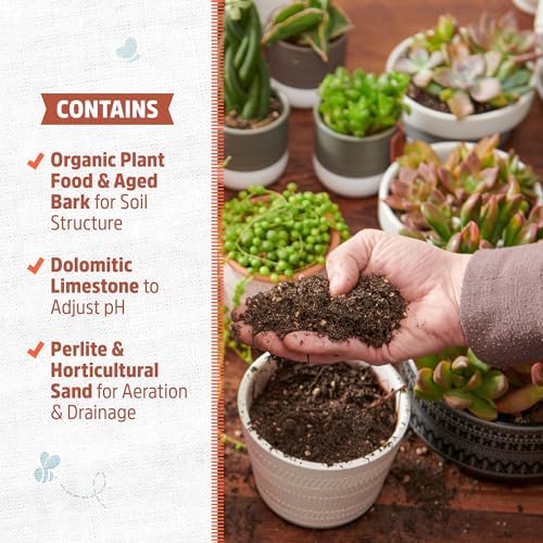 Back to the Roots 100% Organic Succulent & Cacti Mix (6 Quart) | Made in the USA | Premium Nutrition for Indoor and Outdoor Plants - Image 4