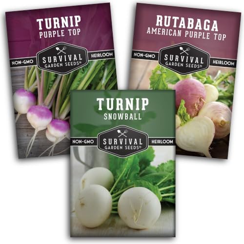 Turnip & Rutabaga Seeds Collection for Planting by SurvivalGardenSeeds