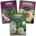Turnip & Rutabaga Seeds Collection for Planting by SurvivalGardenSeeds
