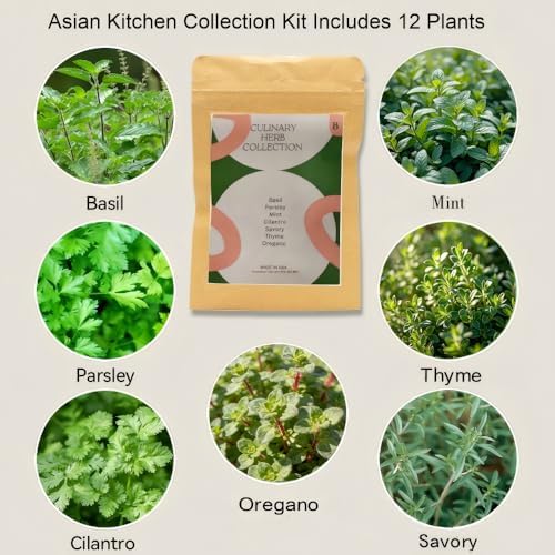 inbloom 12-Pod Gourmet Herb Basil Seed Pod Kit for AeroGarden, Ahopegarden Hydroponic Garden, Basil, Mint, Cilantro, Parsley, Shiso, Chicory, Liquorice, 400+ Seeds - Image 2