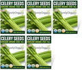 Organic Utah Tall Celery Seeds - USDA Organic, Non-GMO, Open Pollinated, Heirloom, USA Origin (5 Packets - 1.25 Grams - Approx 2500 Seeds) by Purely+Organic+Products+LLC