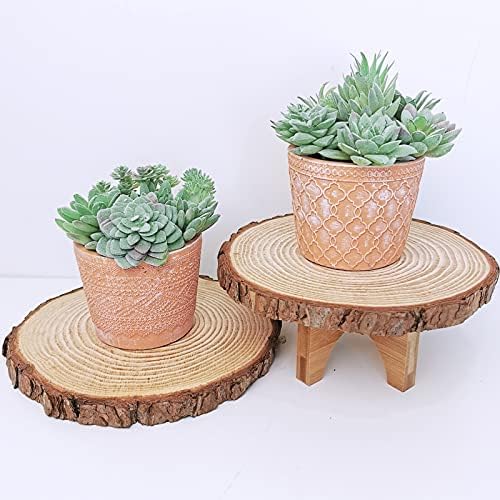 Supla 11 Pcs Mini Artificial Succulents Picks Unpotted Faux Succulent Assortment in Flocked Green in Different Type Different Size Succulents Echeveria Agave Floral Arrangement Mother Day' s Gift - Image 4