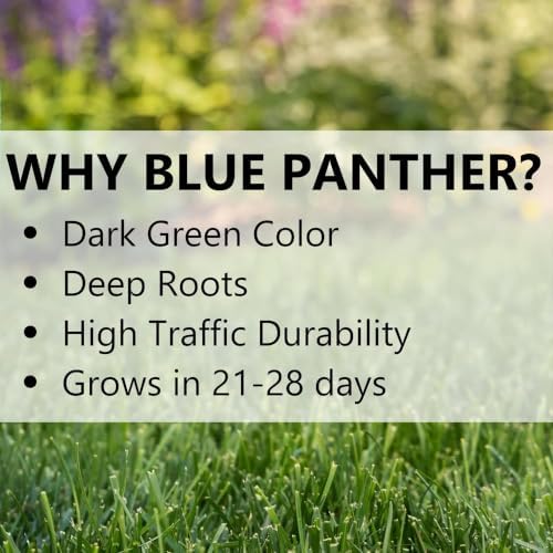 Jonathan Green Blue Panther Kentucky Bluegrass Partial Shade/Sun Grass Seed 3 lb - Image 5
