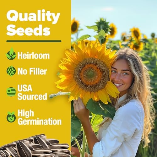 HOME GROWN Lavender & Sunflower Seed Kit – 2-Pack with 1,500 English Lavender & 520+ Mammoth Sunflower Non-GMO USA Seeds – Indoor & Outdoor Wildflower Garden Set – Easy to Grow, Heirloom Flowers - Image 4