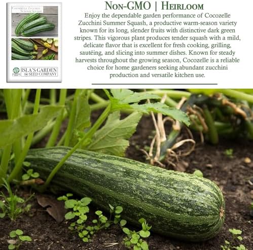 Cocozelle Zucchini Summer Squash Seeds – 50+ Heirloom Non-GMO Seeds by Isla’s Garden Seeds, High-Yield Variety, Perfect for Home Gardens, Easy to Grow, Delicious & Tender Harvest,Great Gardening Gift - Image 3