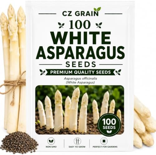 White Asparagus Seeds for Planting Heirloom Vegetable -100 Premium Seeds by CZGrain