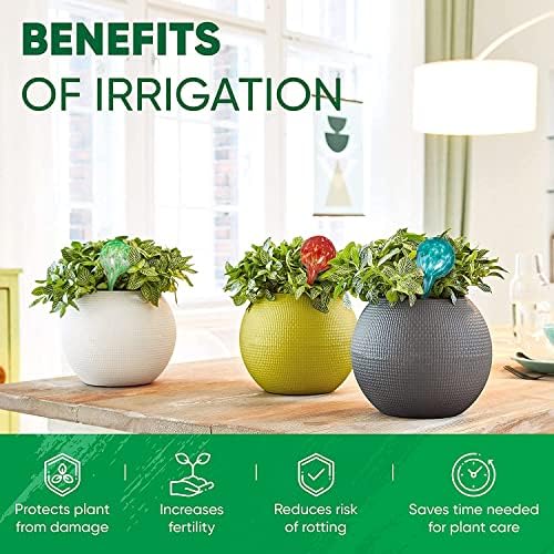 Plant Watering Globes Set of 2, Large - Glass Self Watering Globes - Image 4