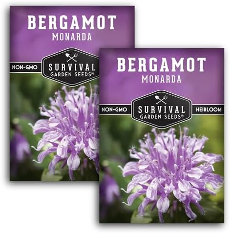 Bee Balm Seeds for Planting - Wild Bergamot Survival Garden Seeds (2 Packs) by SurvivalGardenSeeds
