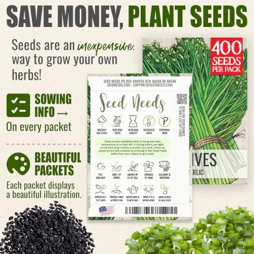 Seed Needs Garlic Chives Seeds to Plant an Herb Garden - 5 Packs - Image 3