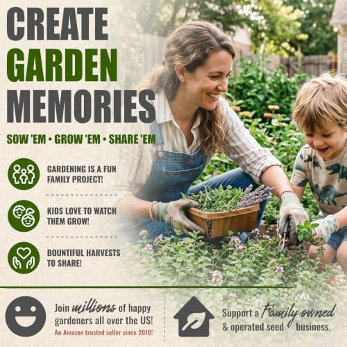 Seed Needs Italian Oregano Seeds to Plant an Herb Garden - 2 Packs - Image 6