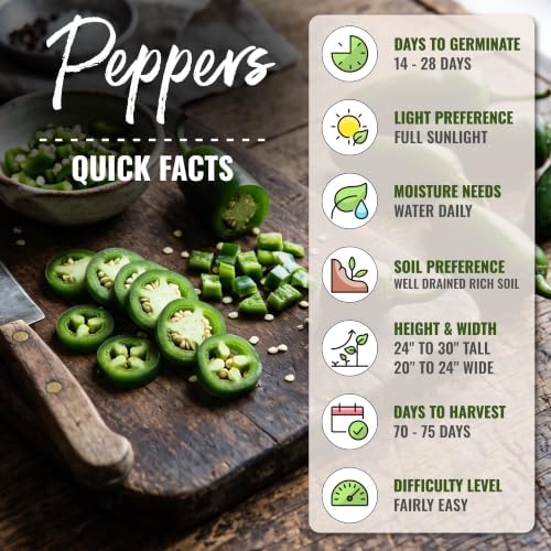Seed Needs TAM Jalapeño Hot Pepper Seeds to Plant Vegetables - 2 Packs - Image 4