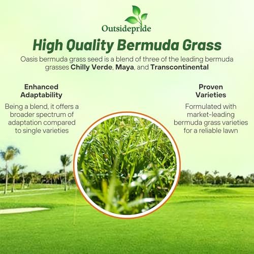 Outsidepride Oasis Bermuda Grass Seed - 25 lbs Warm Season, High Traffic, Heat Resistant, Drought-Tolerant, Low-Maintenance, Fast Growing Turf Grass for Lawn, Ideal for Sunny Areas, Thick Coverage - Image 3
