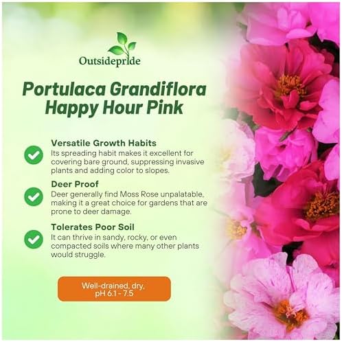 Outsidepride Pink Mixed Moss Rose Seeds - 250 Pcs Annual, Drought & Heat Tolerant, Pollinator Friendly Ground Cover Seeds for Planting w/Vibrant Blooms & Succulent Foliage, Ideal for Xeriscaping - Image 3