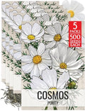Seed Needs Purity Cosmos Seeds to Plant Cut Flowers - 5 Packs by SeedNeeds