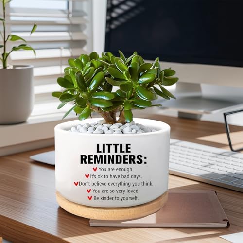 Office Desk Shelf Decor, Funny Succulent Plant Pot (Plants Not Included) - Image 4