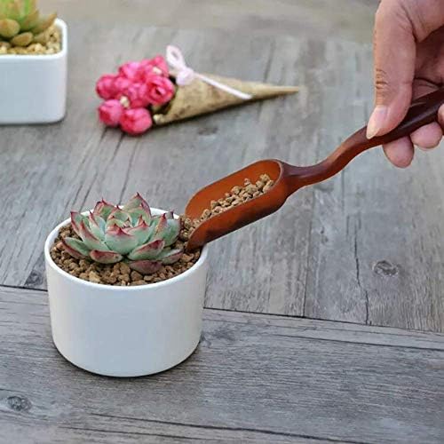 SONGZIMING 15 Pcs Succulent Plant Tools Set - Image 4
