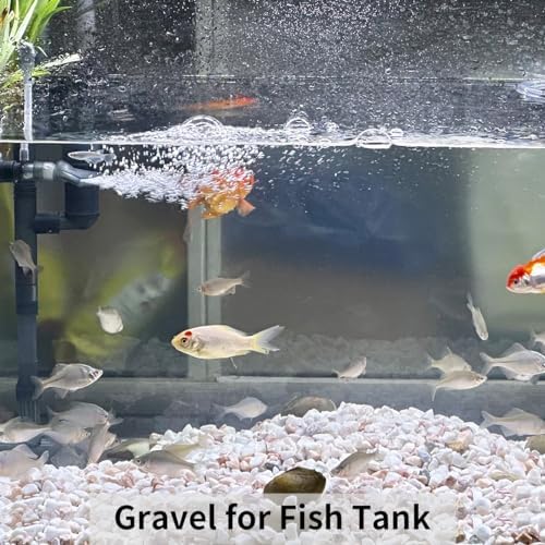 FANTIAN 2 lbs White Rocks for Plants, 3/8 Inch Aquarium Gravel, Pea Gravel - Image 3
