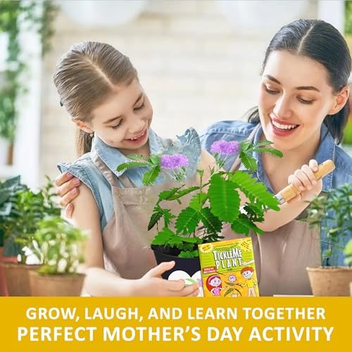 Birthday Gift for Mom – TickleMe Plant that Moves When Touched – Adult Plants Can Produce Pink Flowers – Unique Gift for Mom from Daughter, Son or Kids – Easy Indoor Grow Kit - Image 5