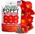 HOME GROWN Red Chief Poppy 22,000 Flower Seeds Eschscholzia californica by HOMEGROWN