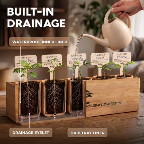 Bonsai Tree Kit Classic - Growing 5 Unique Japanese Bonzai Trees - Image 5