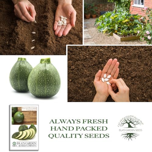Round Zucchini Seeds (Cucurbita Pepo) – 40+ Non-GMO Heirloom Seeds for Planting, Also Known as Eight Ball Zucchini, Compact Bush Variety for Stuffing & Roasting, by Isla’s Garden Seeds, Gift Idea - Image 4