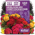 150 Chief Mix Cockscomb Heirloom Flower Seeds, Celosia Argentea by KVITER