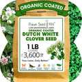 White Dutch Clover Seed, 1 Lb, Organic Coated, Natural Lawn, Ground Cover, Hunting Food Plot, Covers up to 3,600 Sqft by FlawnSeedKits