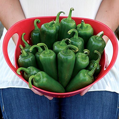 Park Seed Park's Whopper Jalapeño Pepper Seeds – Pack of 15 Seeds by ParkSeed